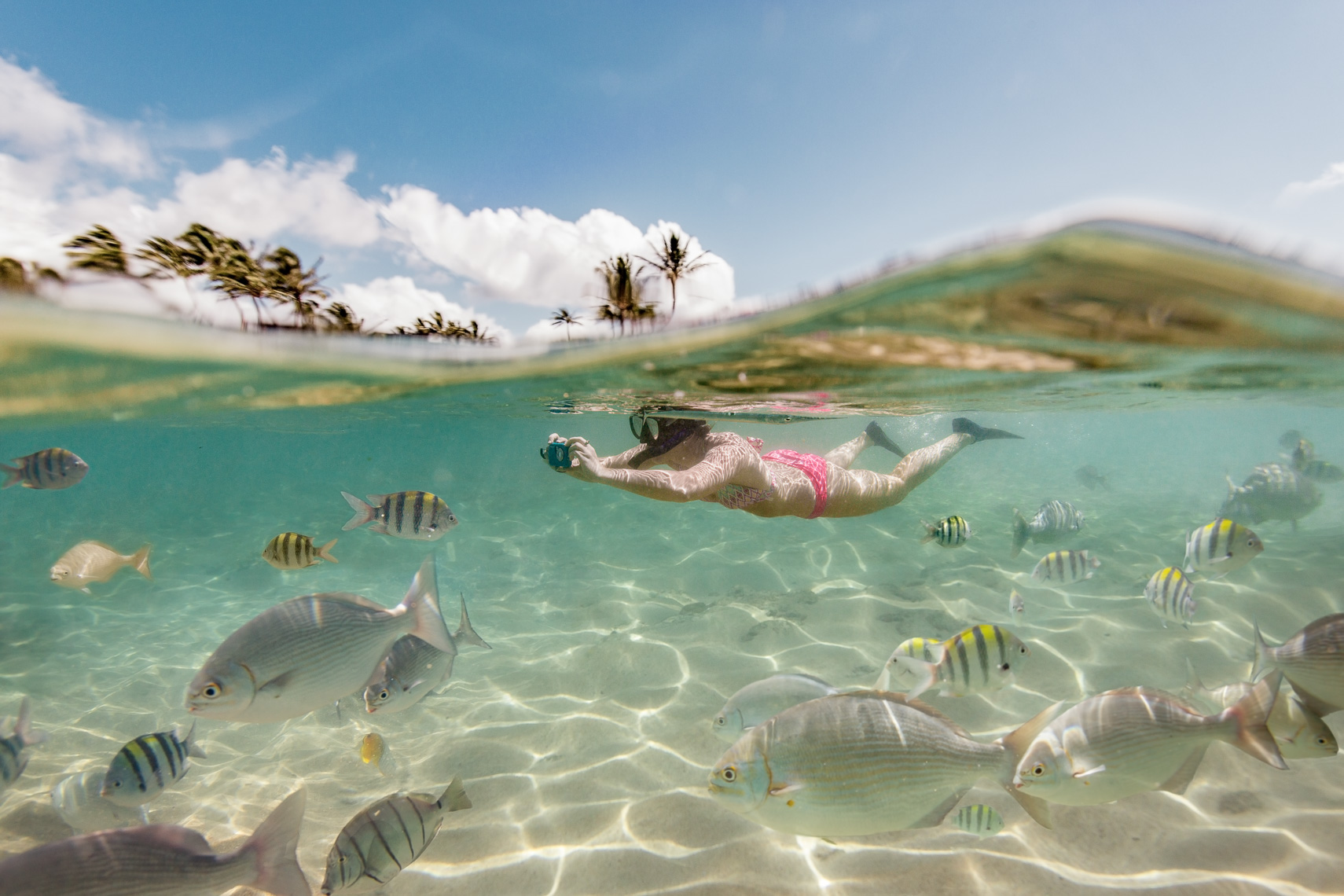 Snorkeling-Underwater-Photos